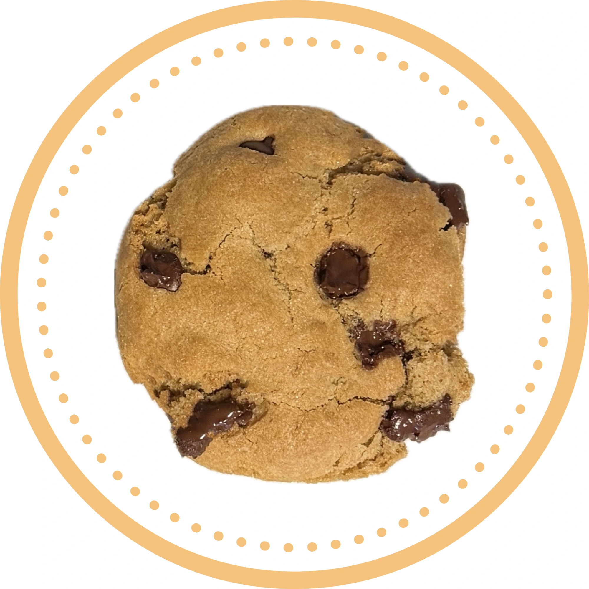 Chocolate Chip Cookie Image