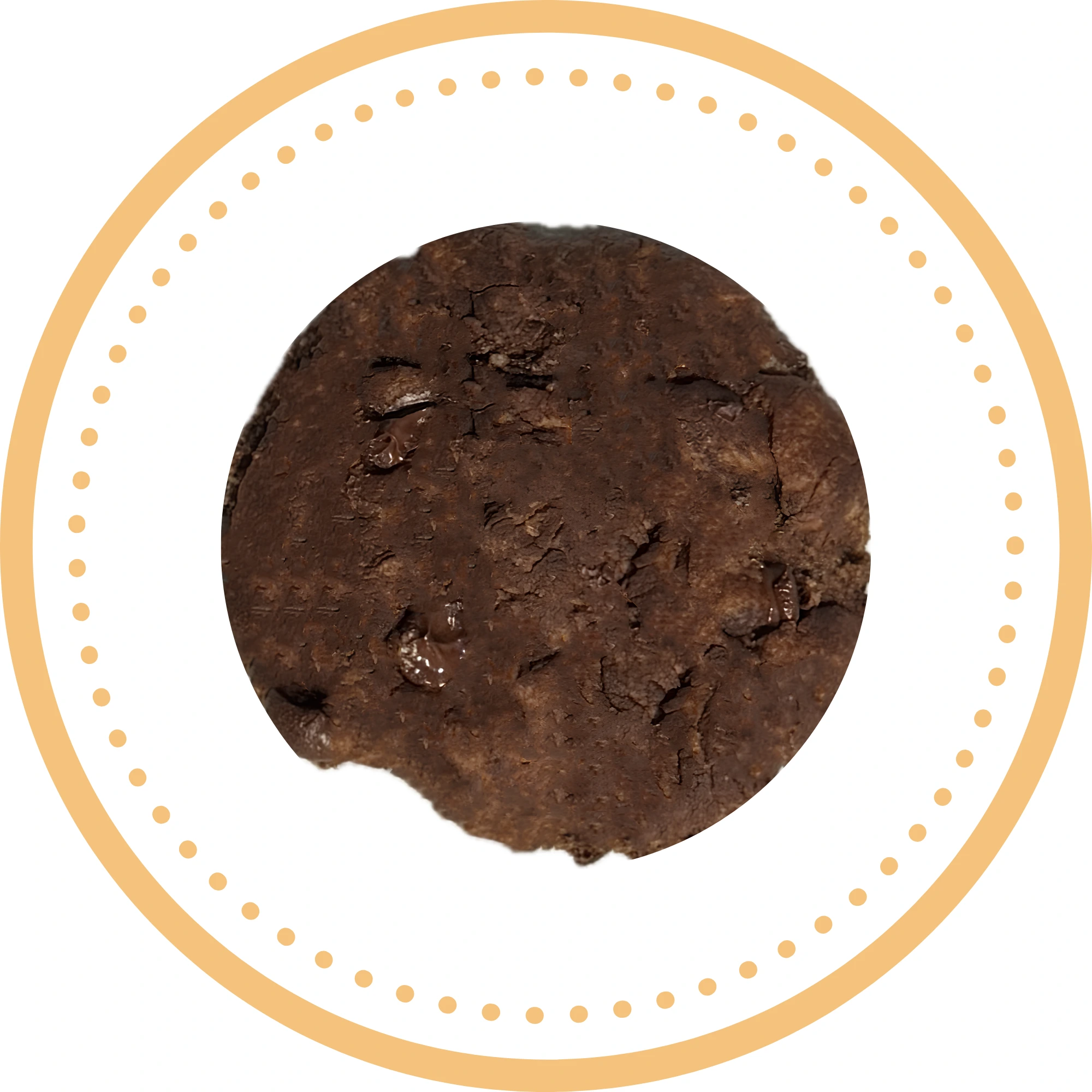 Double Chocolate Chip Cookie